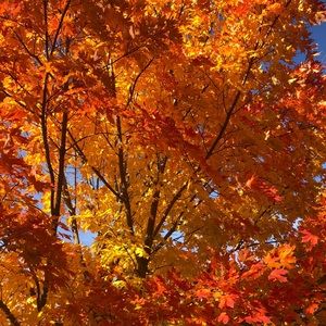 Meet your Posher, Christy